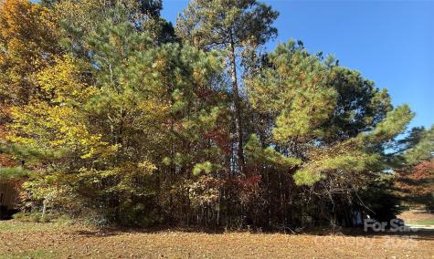 8870 Braxton Drive Sherrills Ford NC 28673