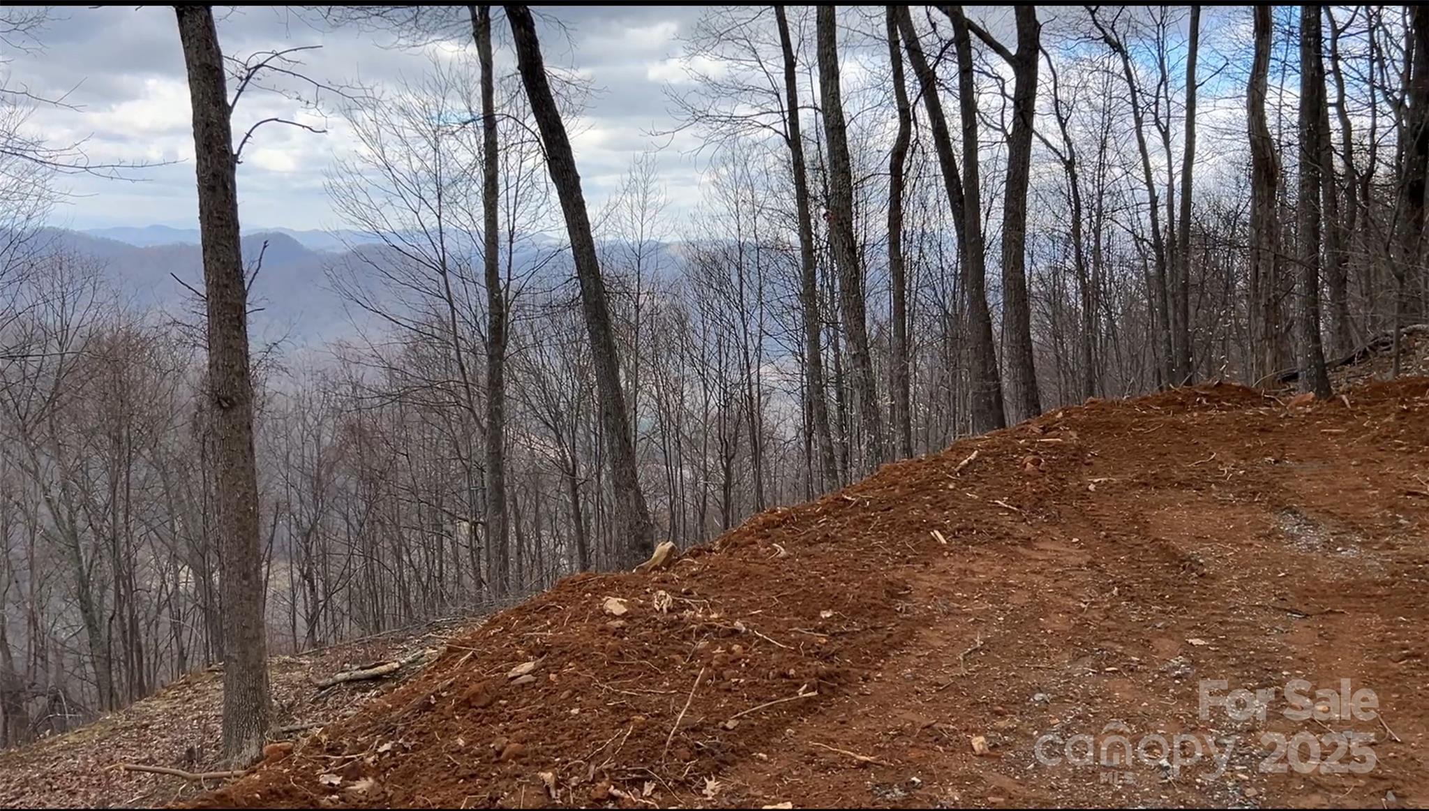 Lot 6 Andrew Banks Road Burnsville NC 28714