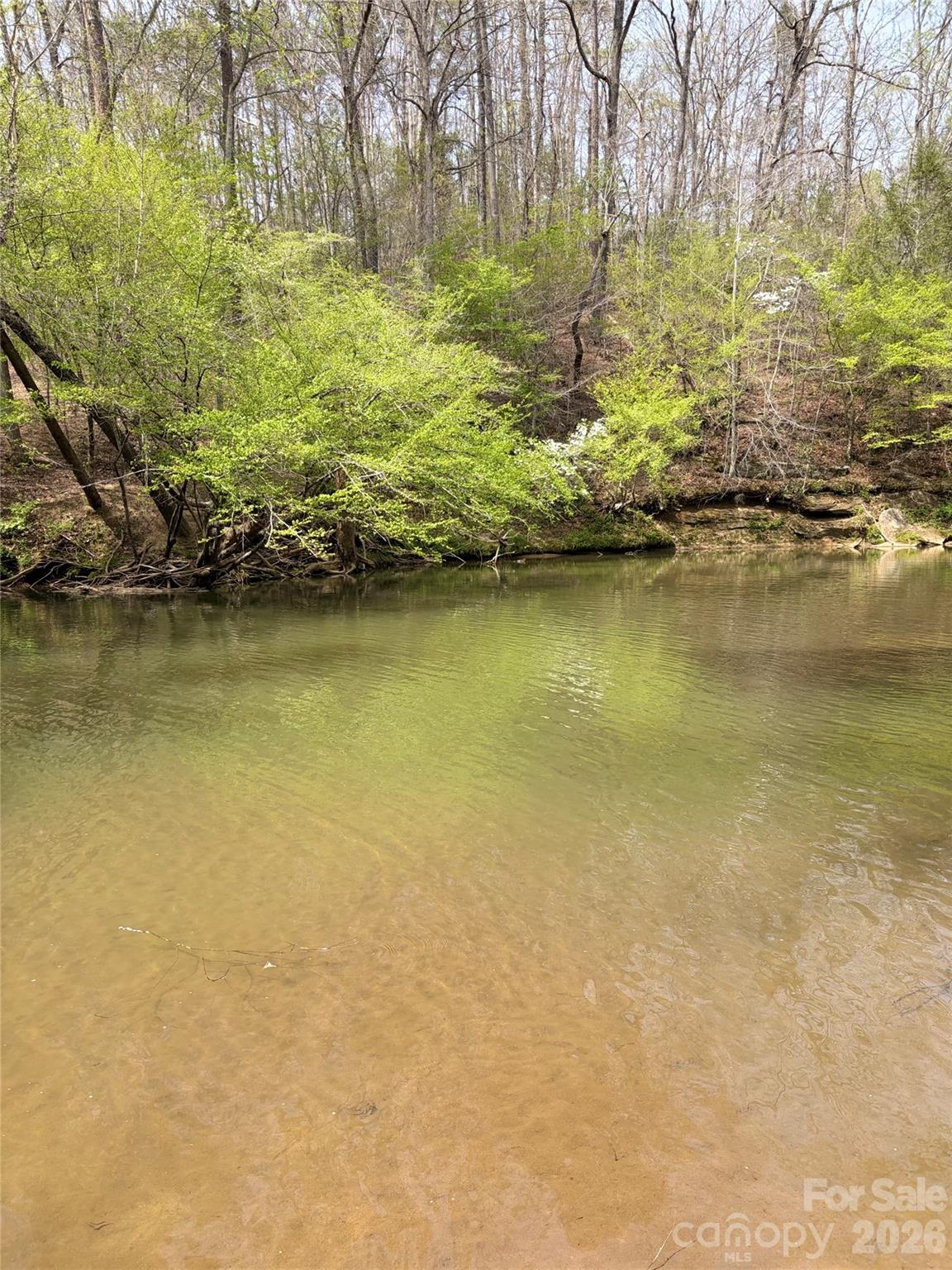 Lot 49 Harmony Grove Road Nebo NC 28761