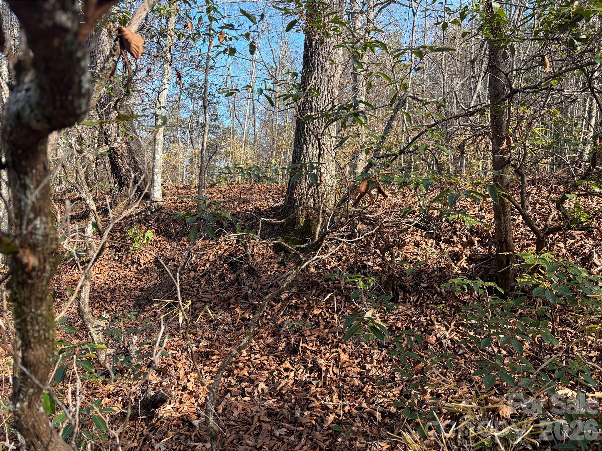 Lot 49 Harmony Grove Road Nebo NC 28761