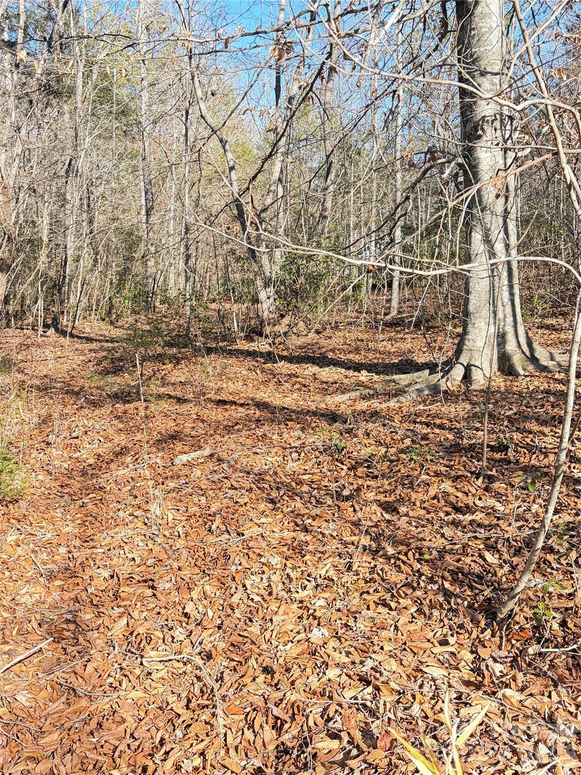 Lot 49 Harmony Grove Road Nebo NC 28761