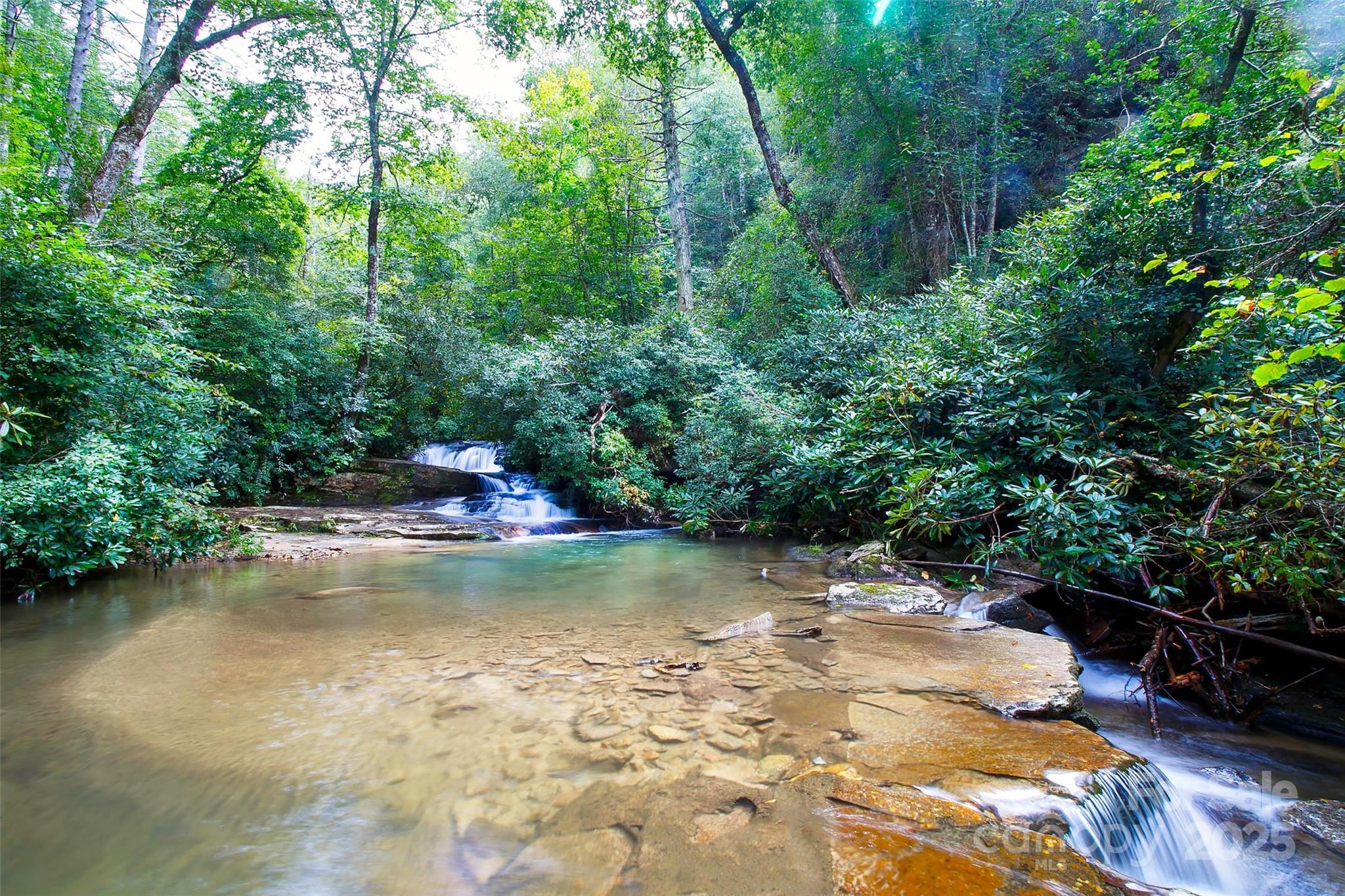 18 Trillium Lane Brevard NC 28712