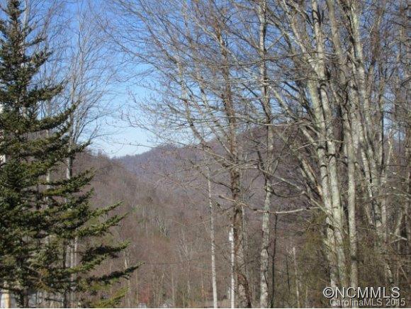 290 High Top Drive Canton NC 28716
