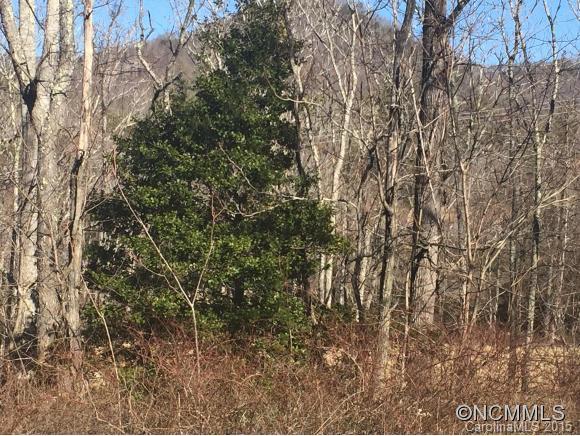 31 Cottage Settings Lane Black Mountain NC 28711