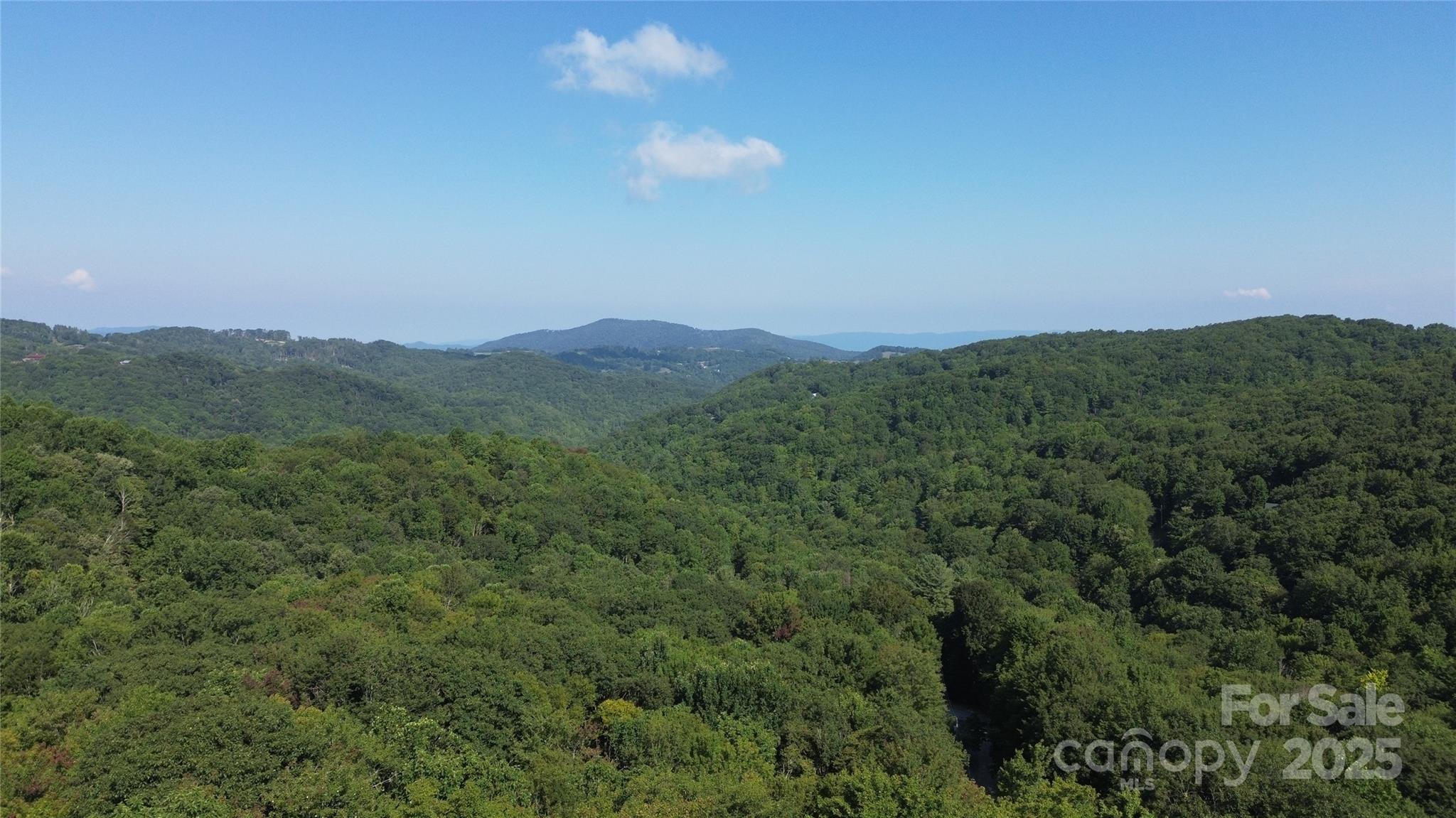 154 Raccoon Road Beech Mountain NC 28604