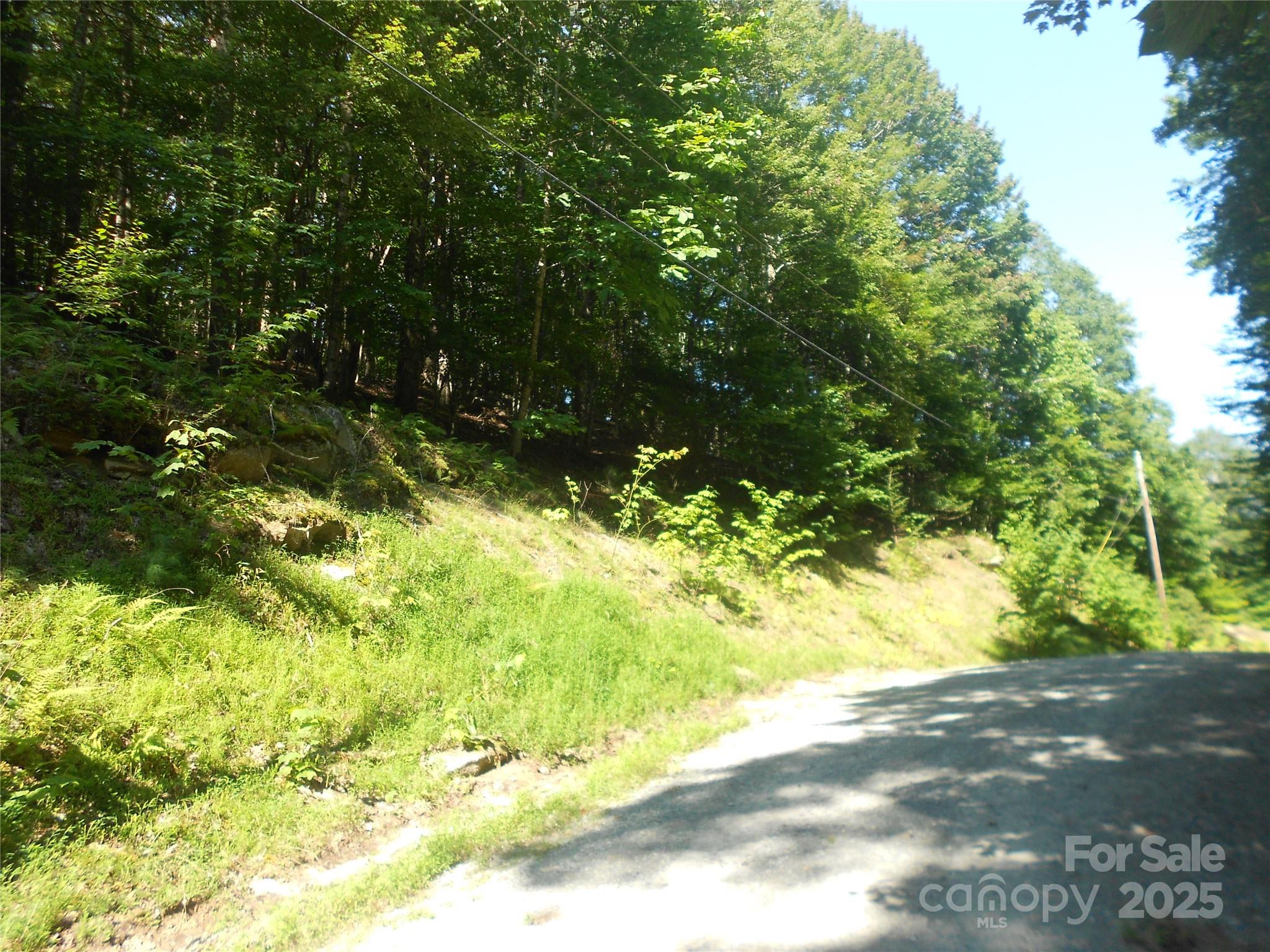 154 Raccoon Road Beech Mountain NC 28604