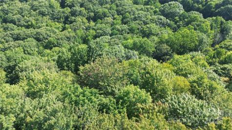 154 Raccoon Road Beech Mountain NC 28604