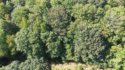 154 Raccoon Road Beech Mountain NC 28604