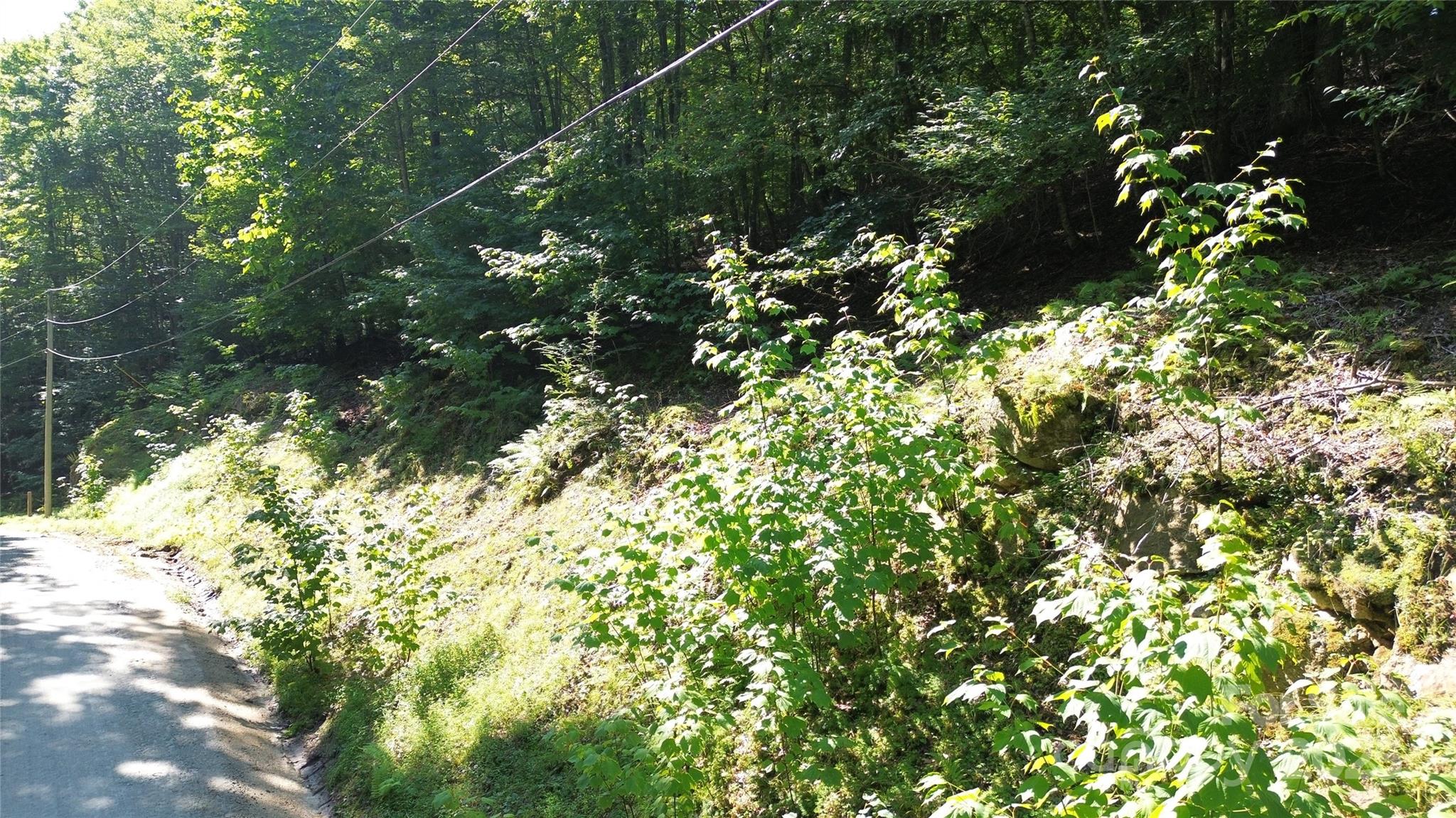 154 Raccoon Road Beech Mountain NC 28604