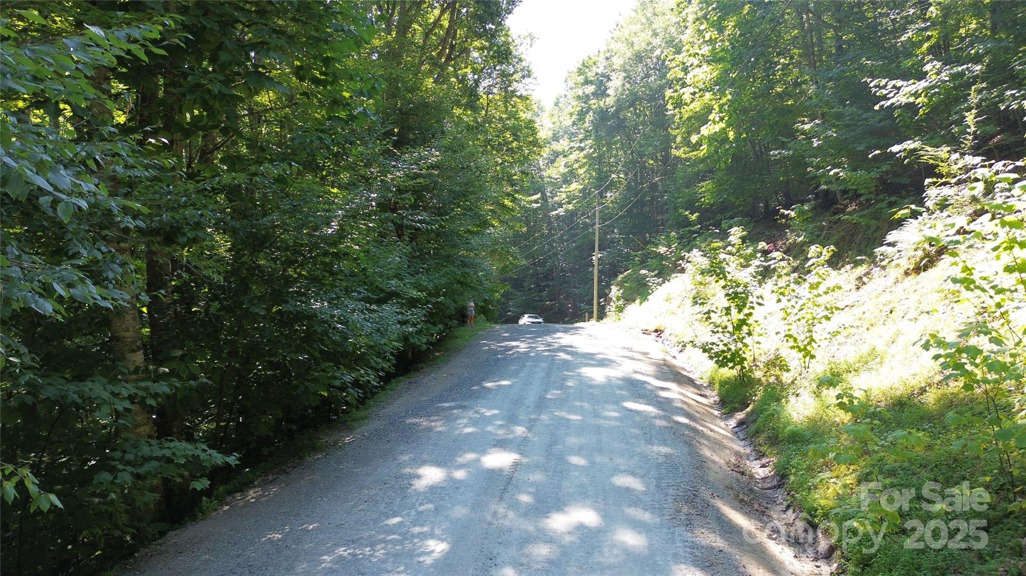 154 Raccoon Road Beech Mountain NC 28604