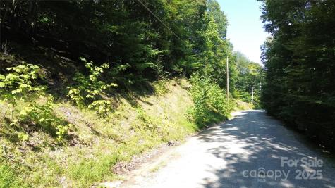 154 Raccoon Road Beech Mountain NC 28604