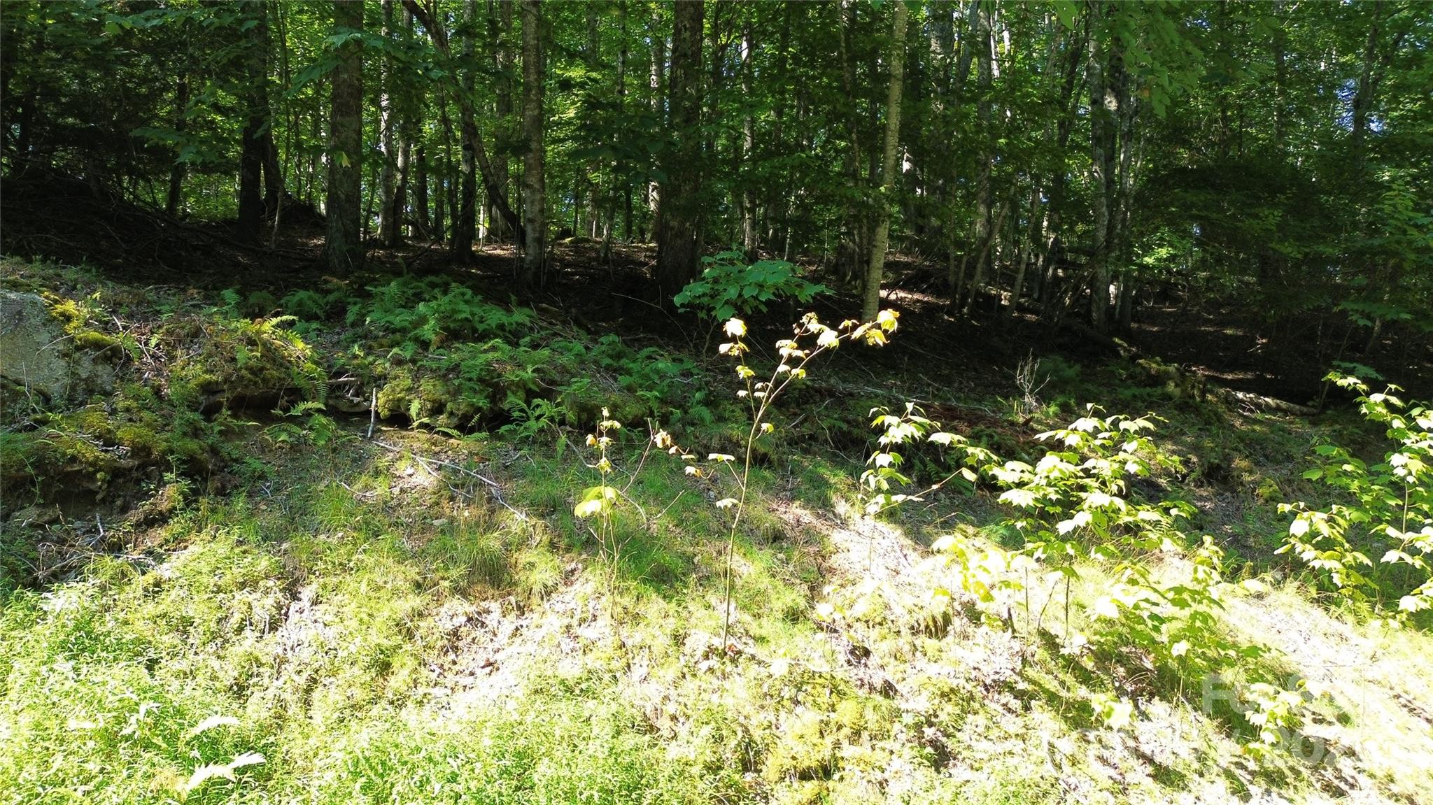 154 Raccoon Road Beech Mountain NC 28604