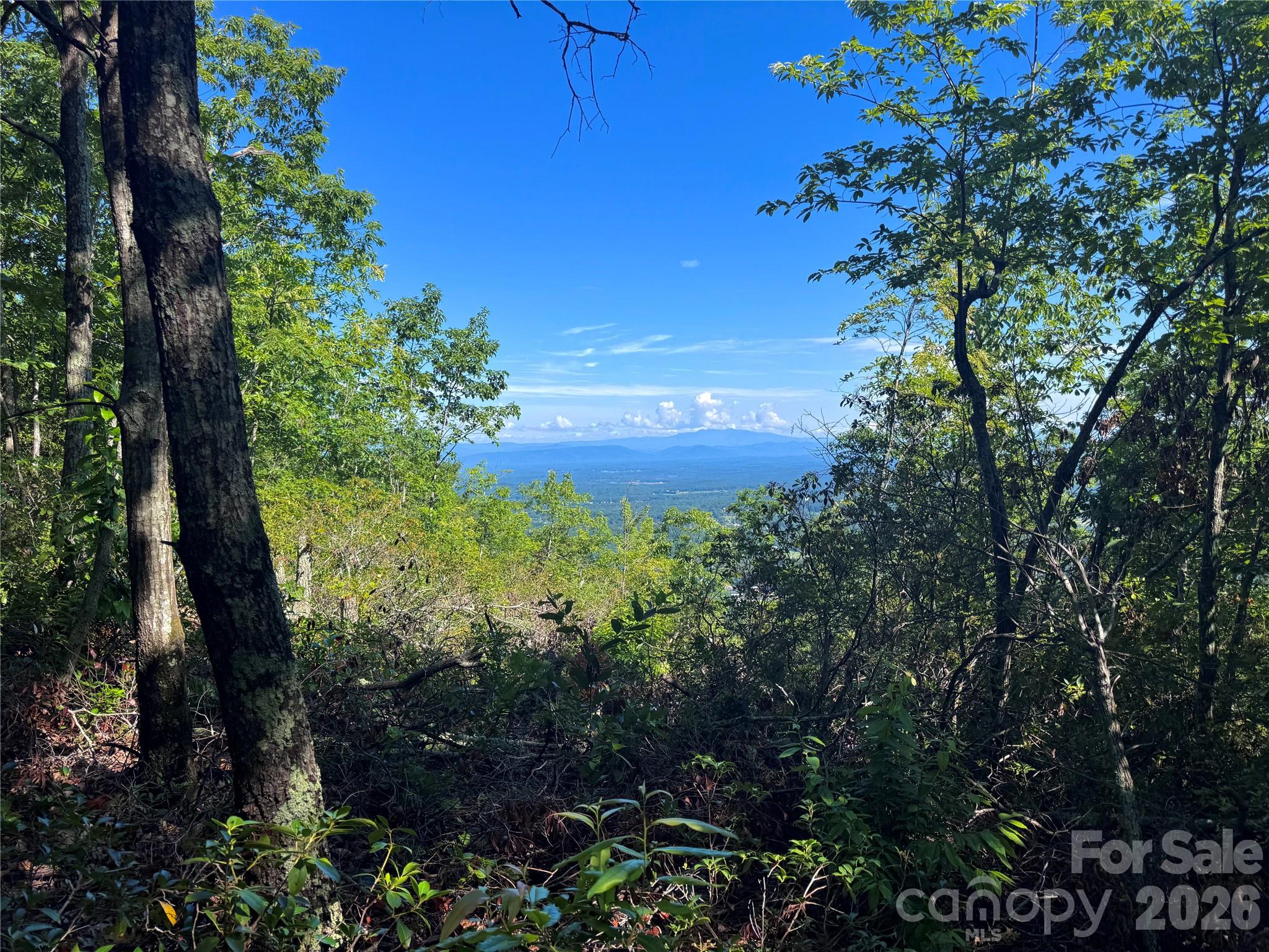 3721 Mountain Vista Drive Morganton NC 28655