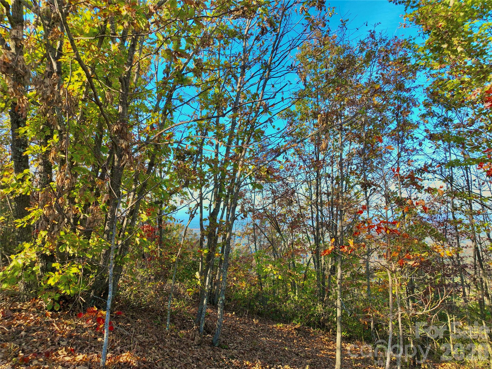 3721 Mountain Vista Drive Morganton NC 28655
