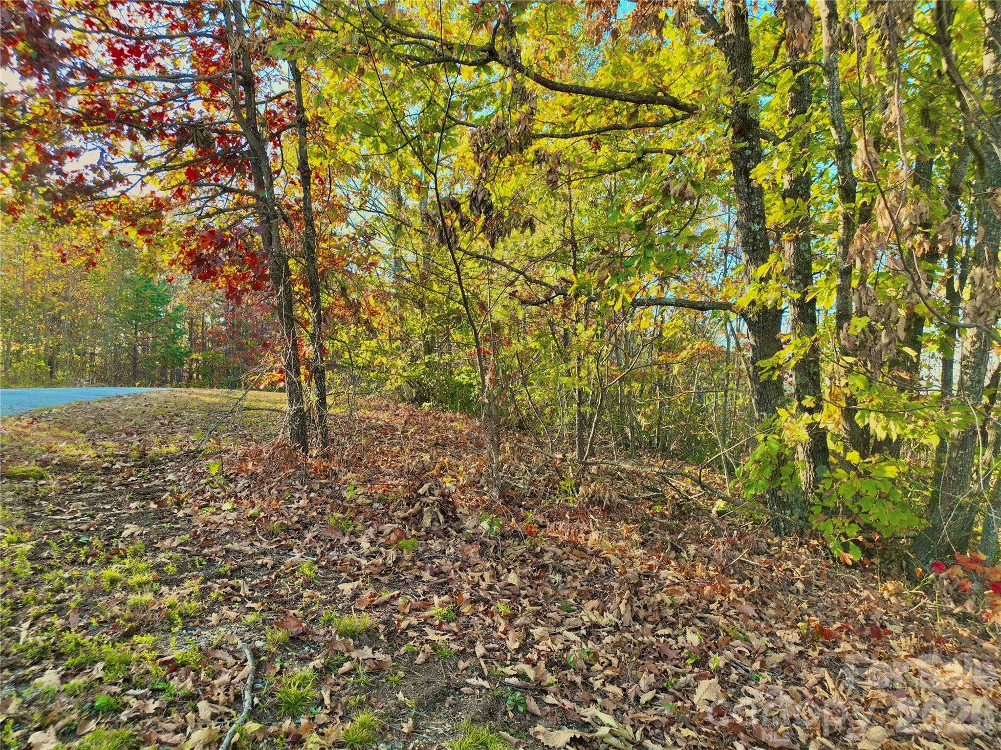 3721 Mountain Vista Drive Morganton NC 28655