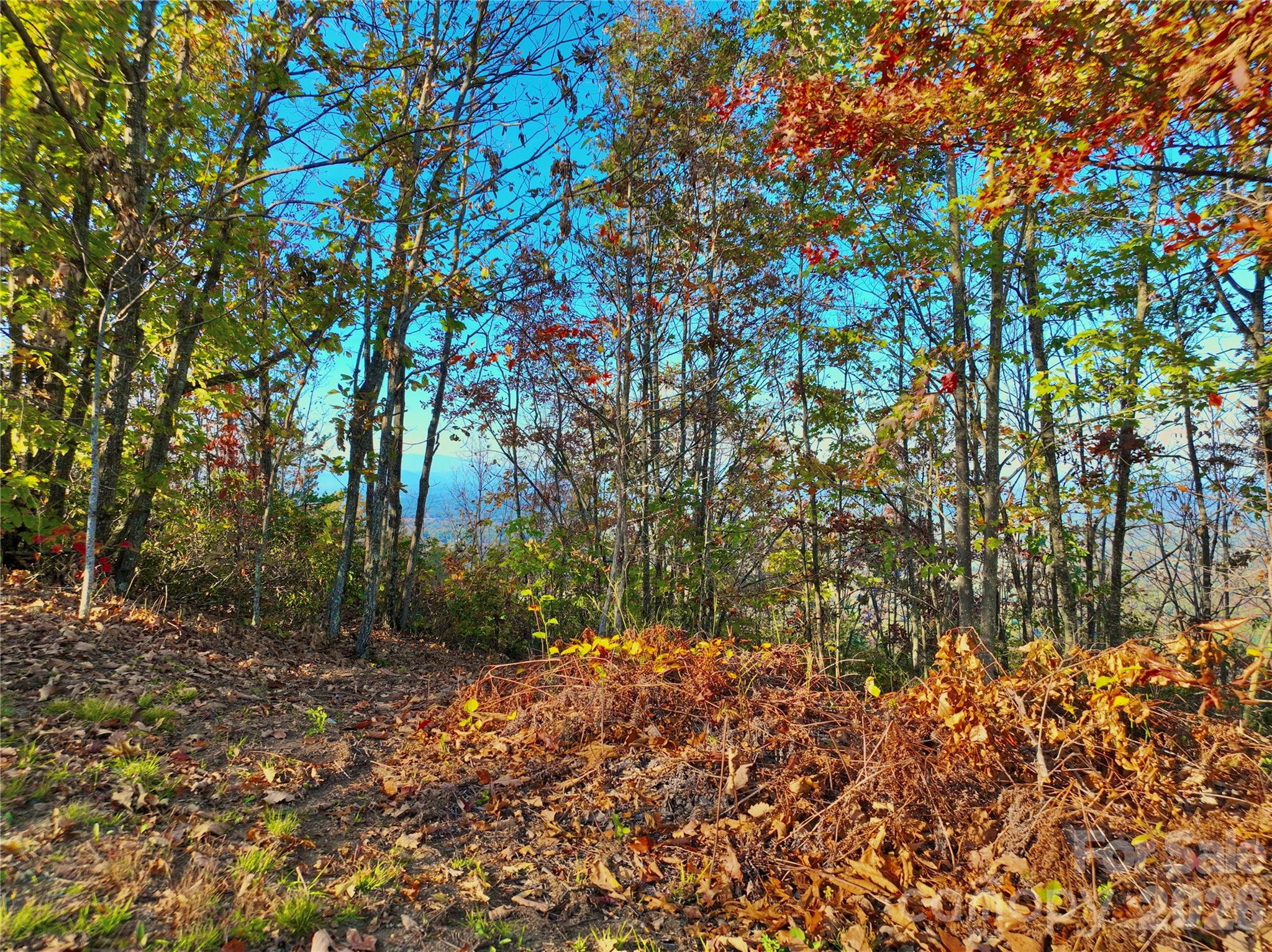 3721 Mountain Vista Drive Morganton NC 28655