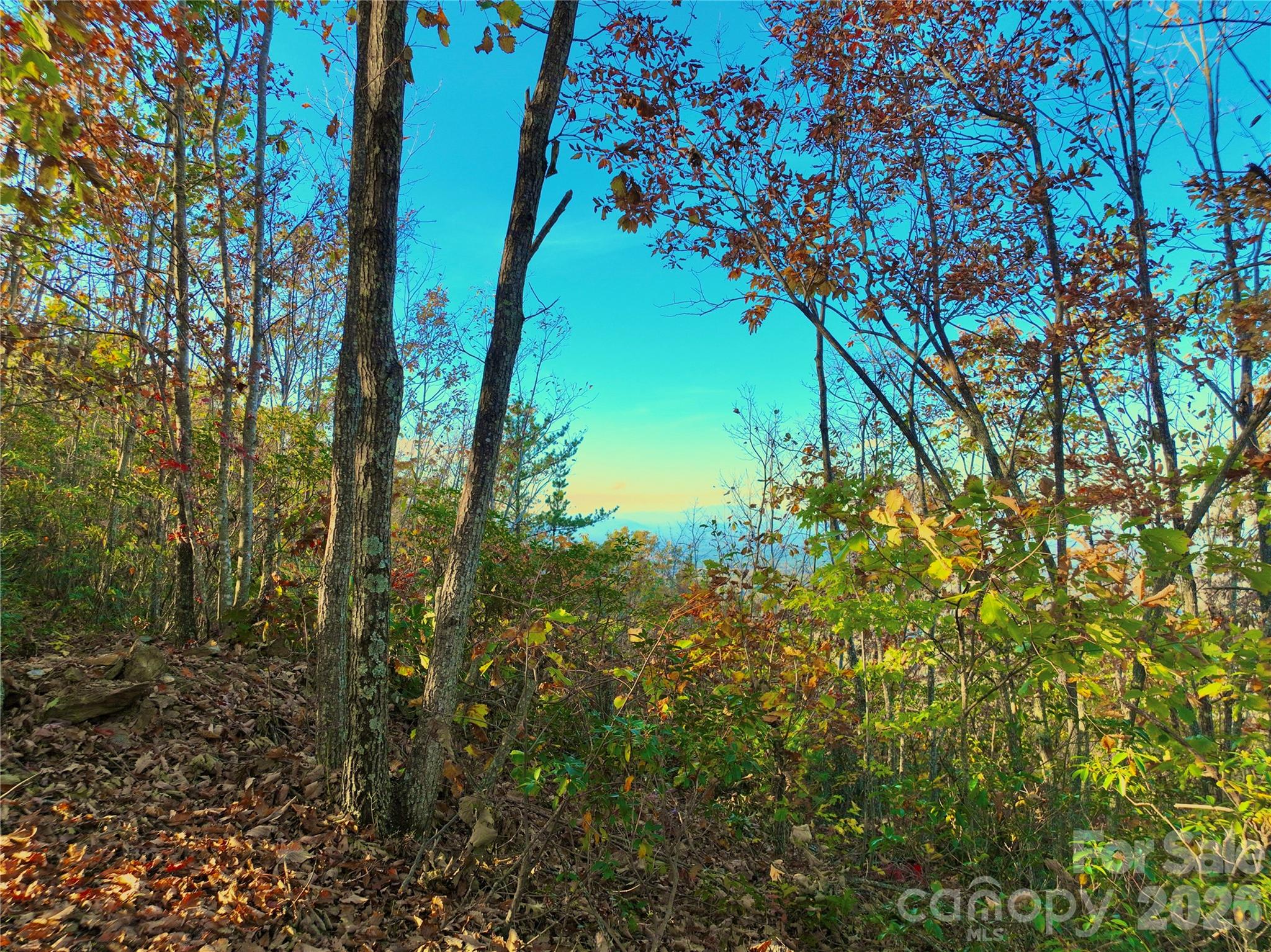 3721 Mountain Vista Drive Morganton NC 28655