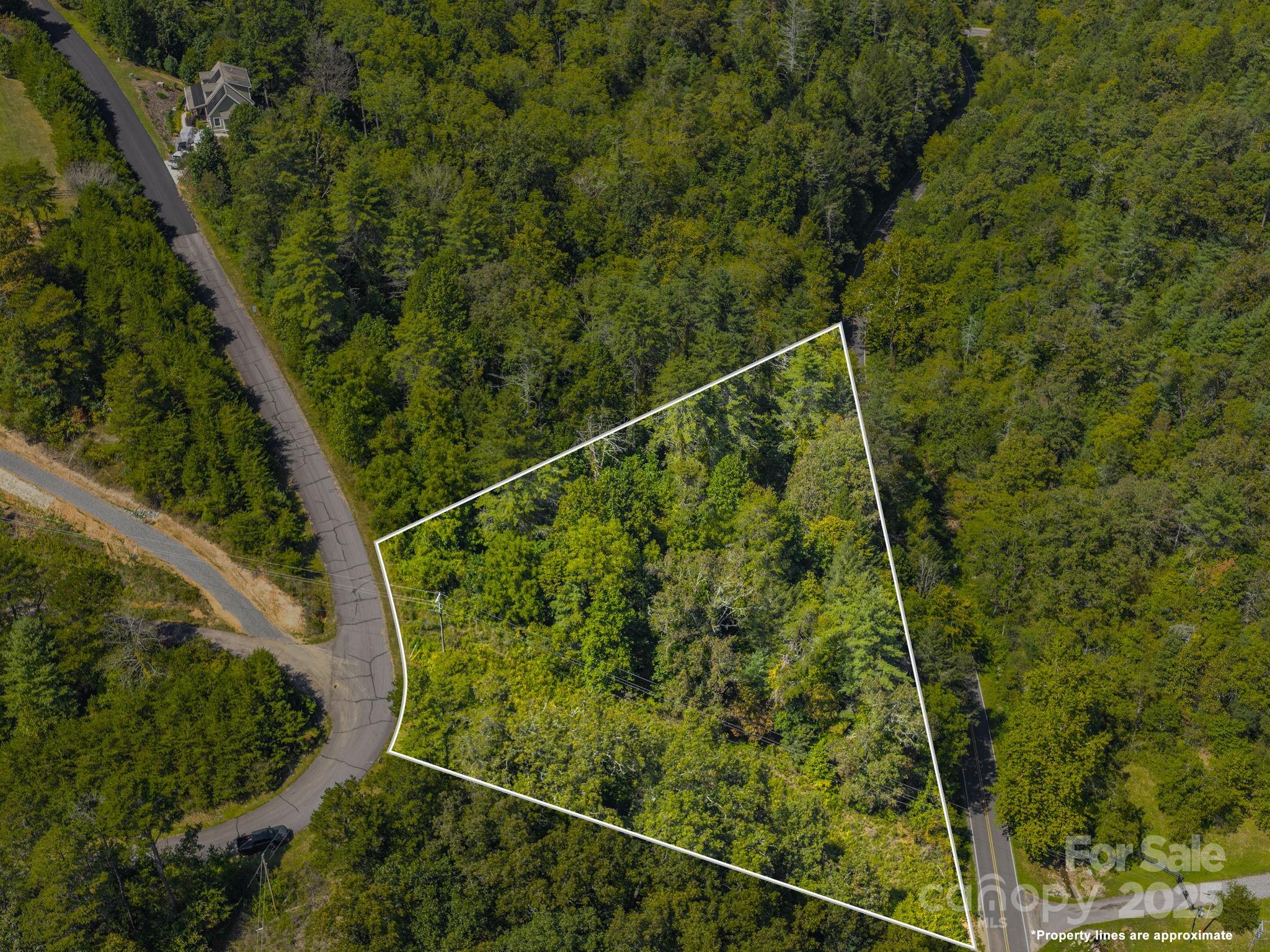 0000 Highland Creek Drive Marshall NC 28753