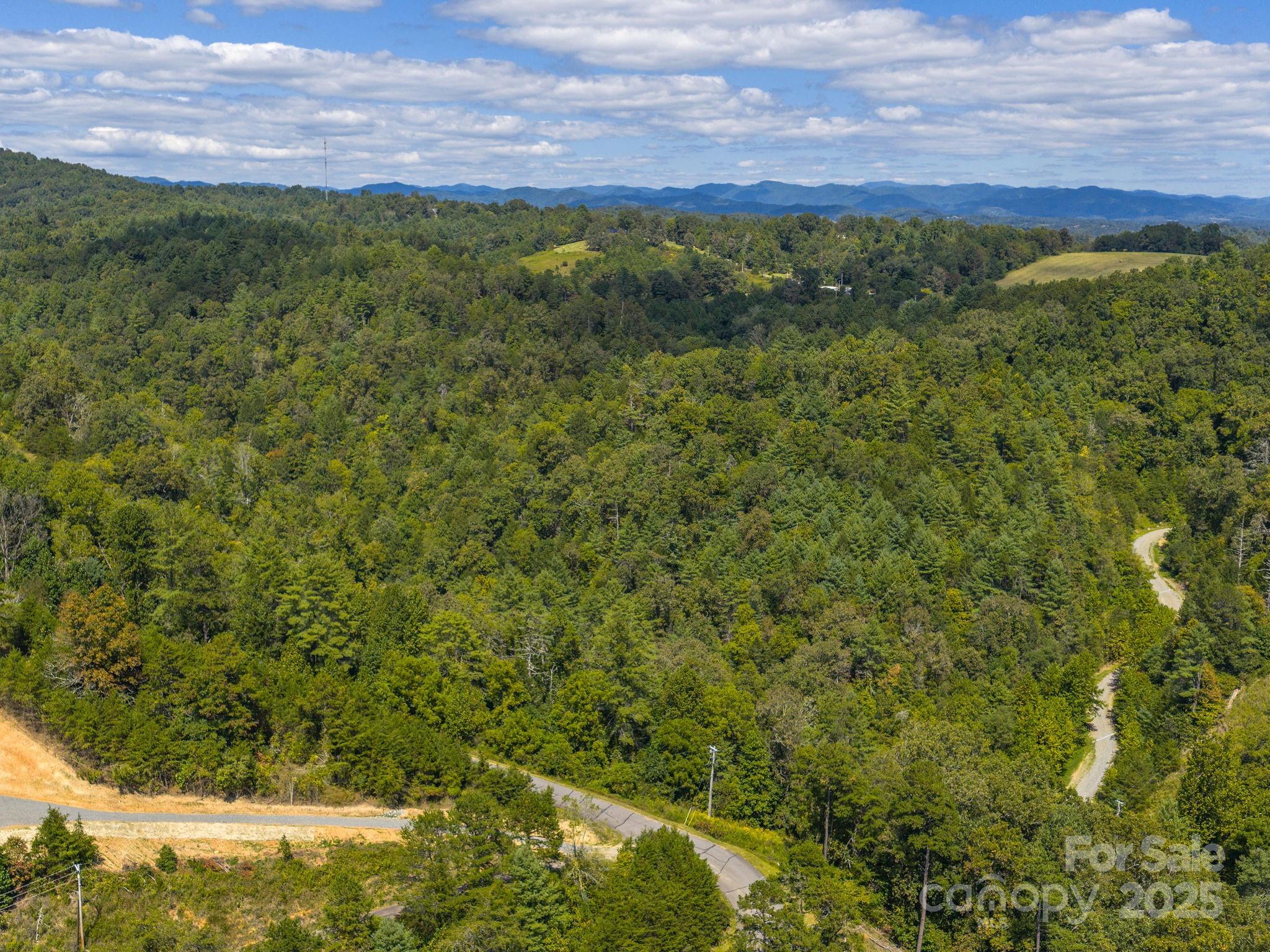 0000 Highland Creek Drive Marshall NC 28753