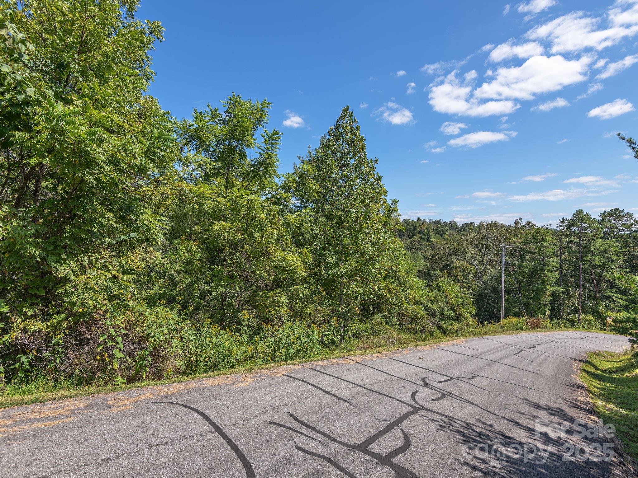 0000 Highland Creek Drive Marshall NC 28753