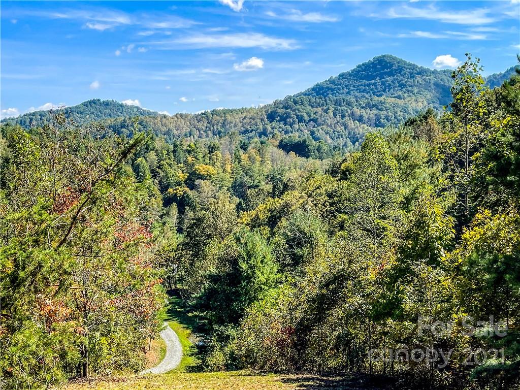 555 Boyd Road Leicester NC 28748