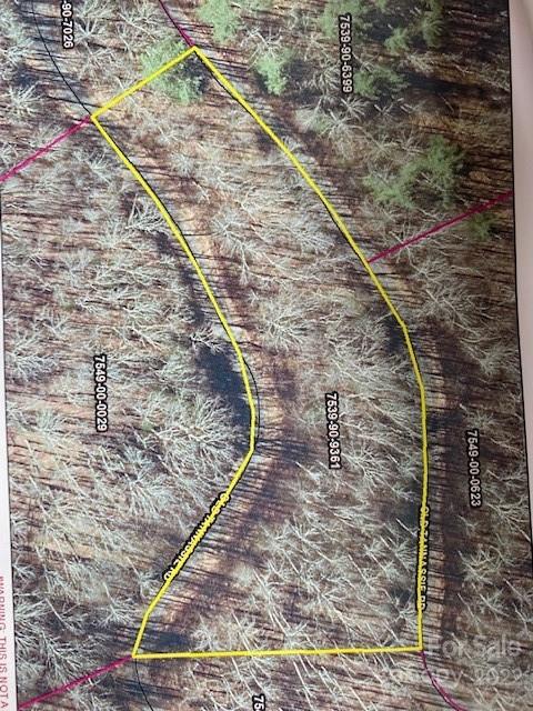 Lot 48 Mountain Forest Estates Road Sylva NC 28779