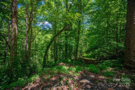 Lot 168 Plantation Drive Rutherfordton NC 28139