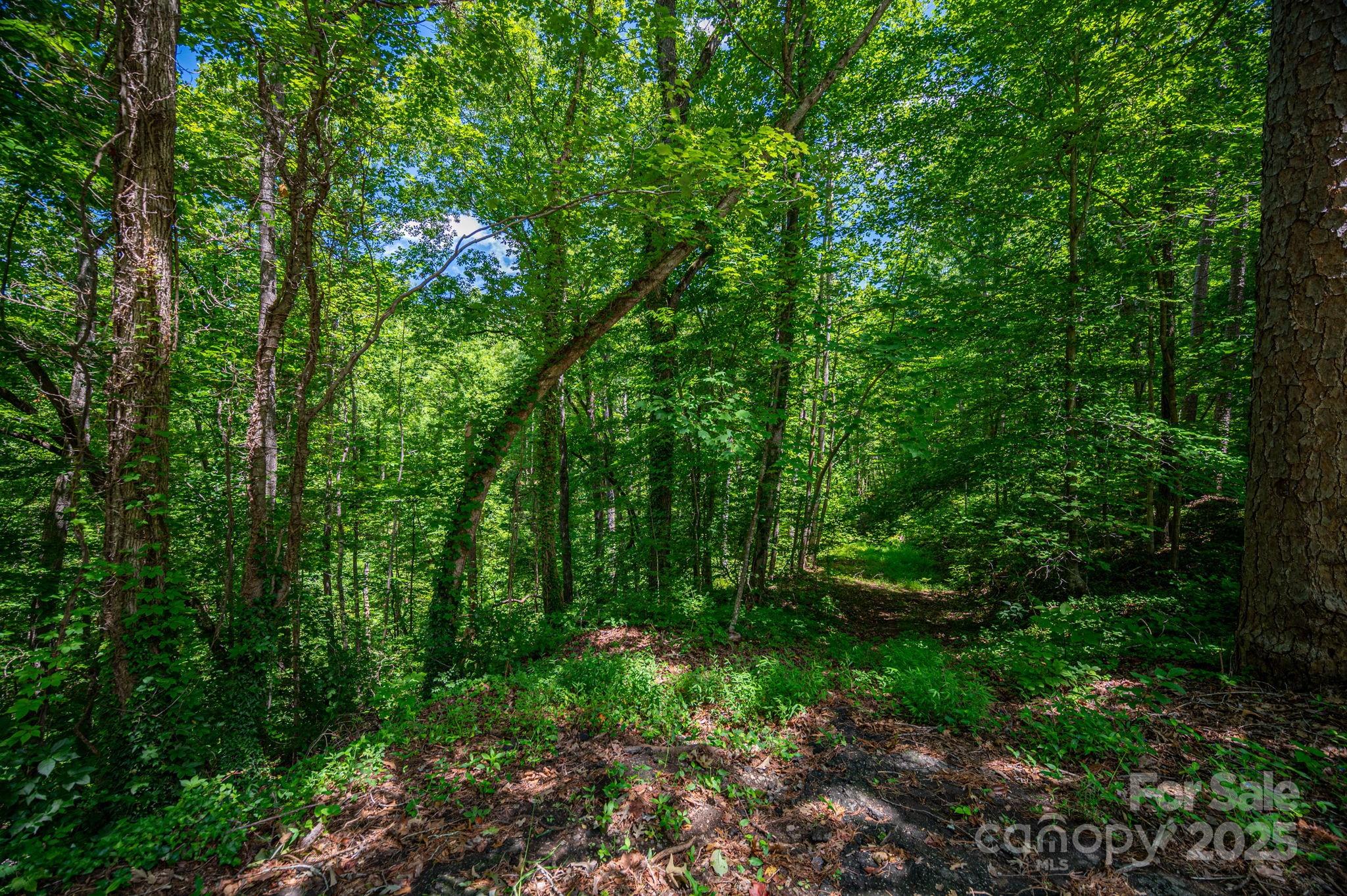 Lot 168 Plantation Drive Rutherfordton NC 28139