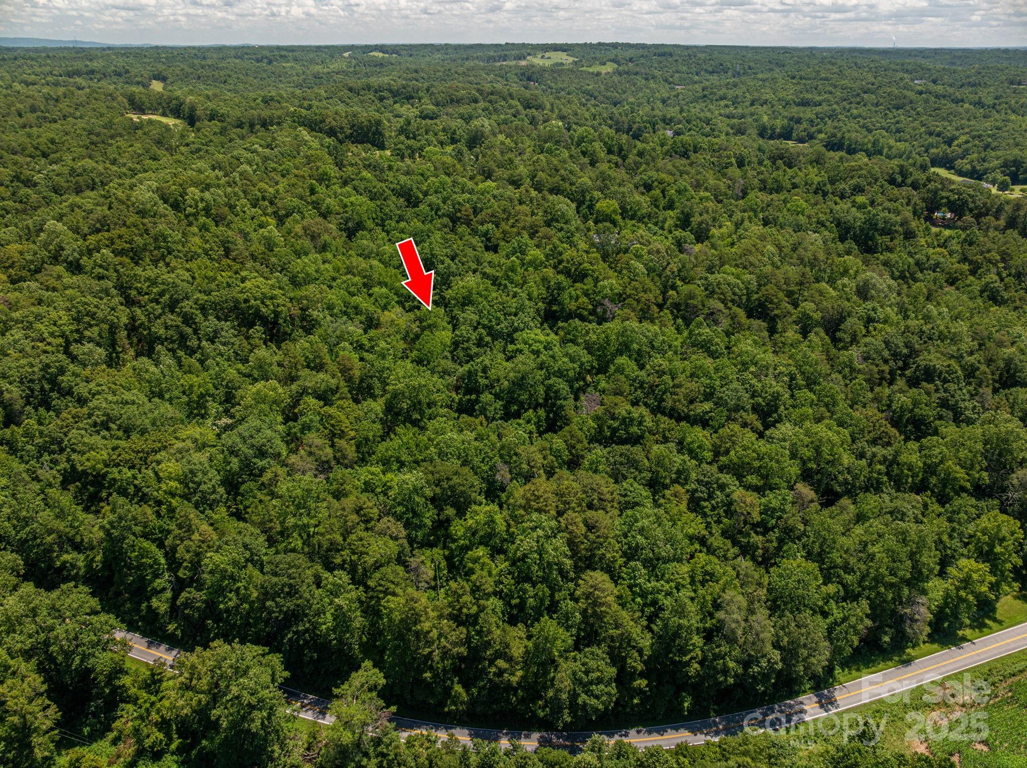 Lot 168 Plantation Drive Rutherfordton NC 28139
