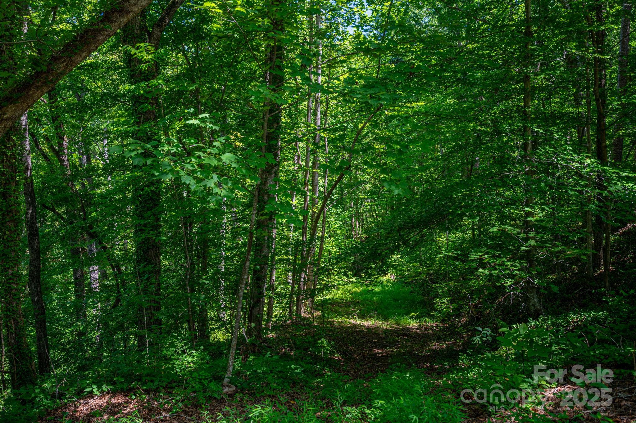Lot 168 Plantation Drive Rutherfordton NC 28139