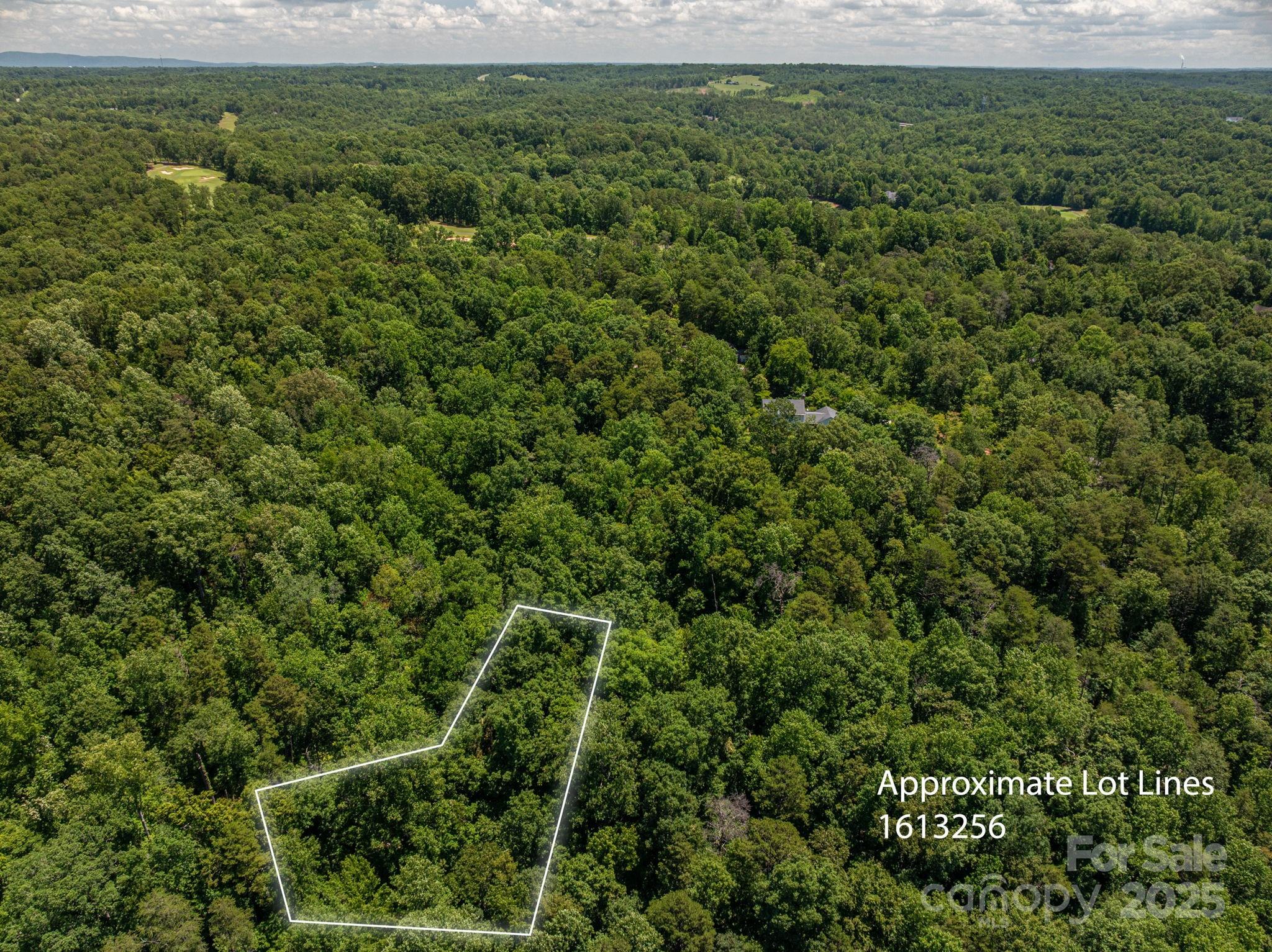 Lot 168 Plantation Drive Rutherfordton NC 28139