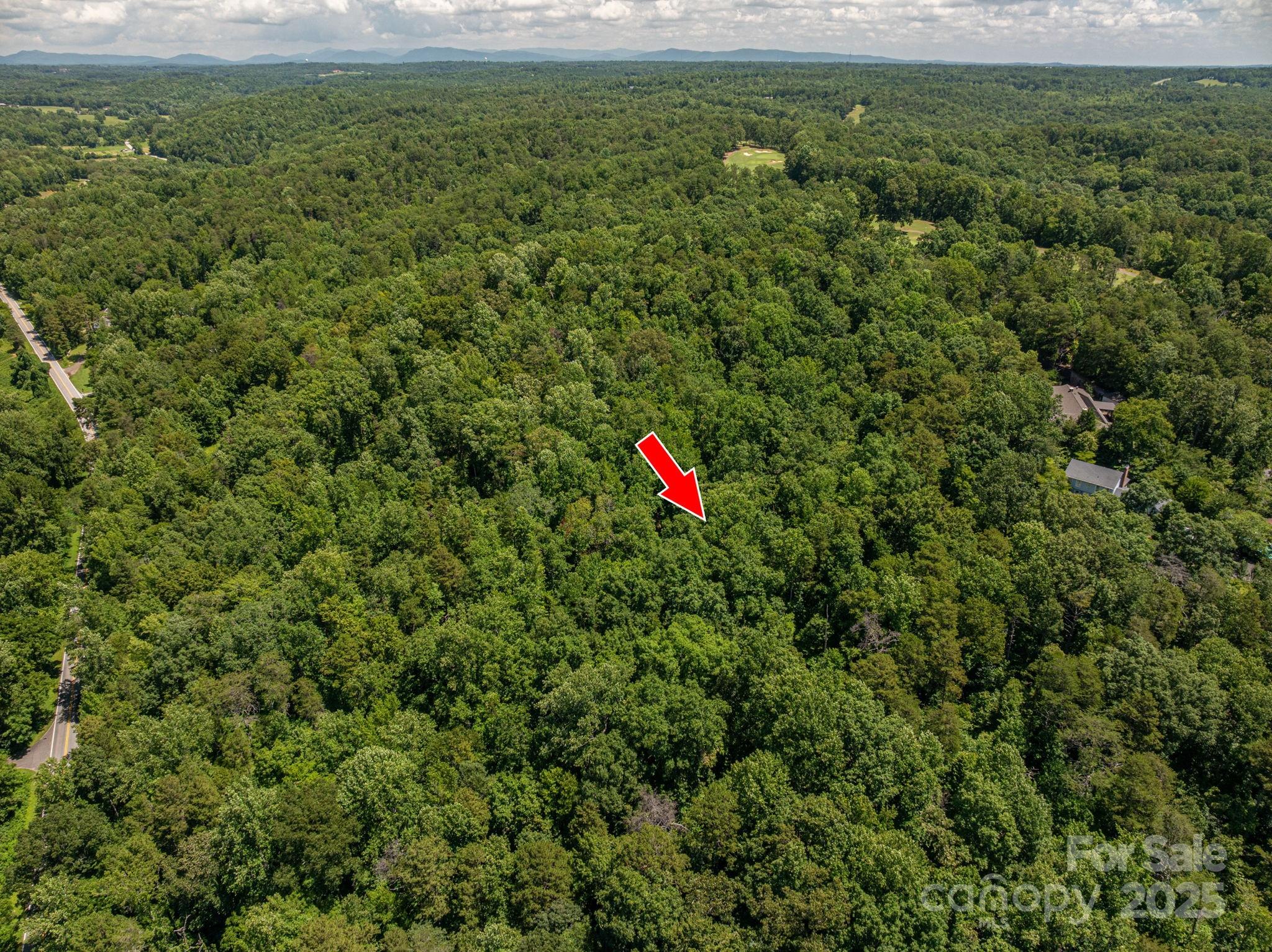Lot 168 Plantation Drive Rutherfordton NC 28139