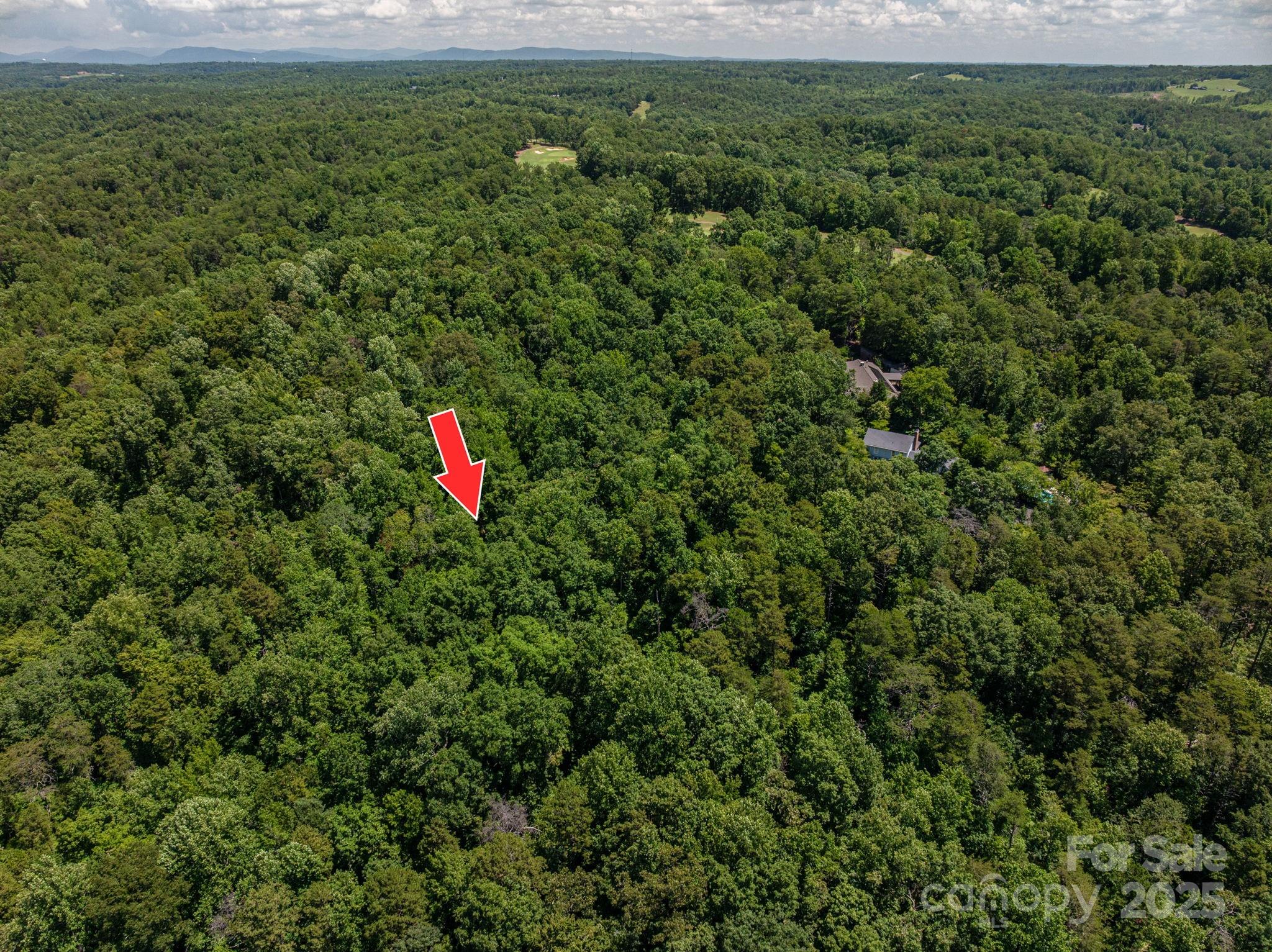 Lot 168 Plantation Drive Rutherfordton NC 28139
