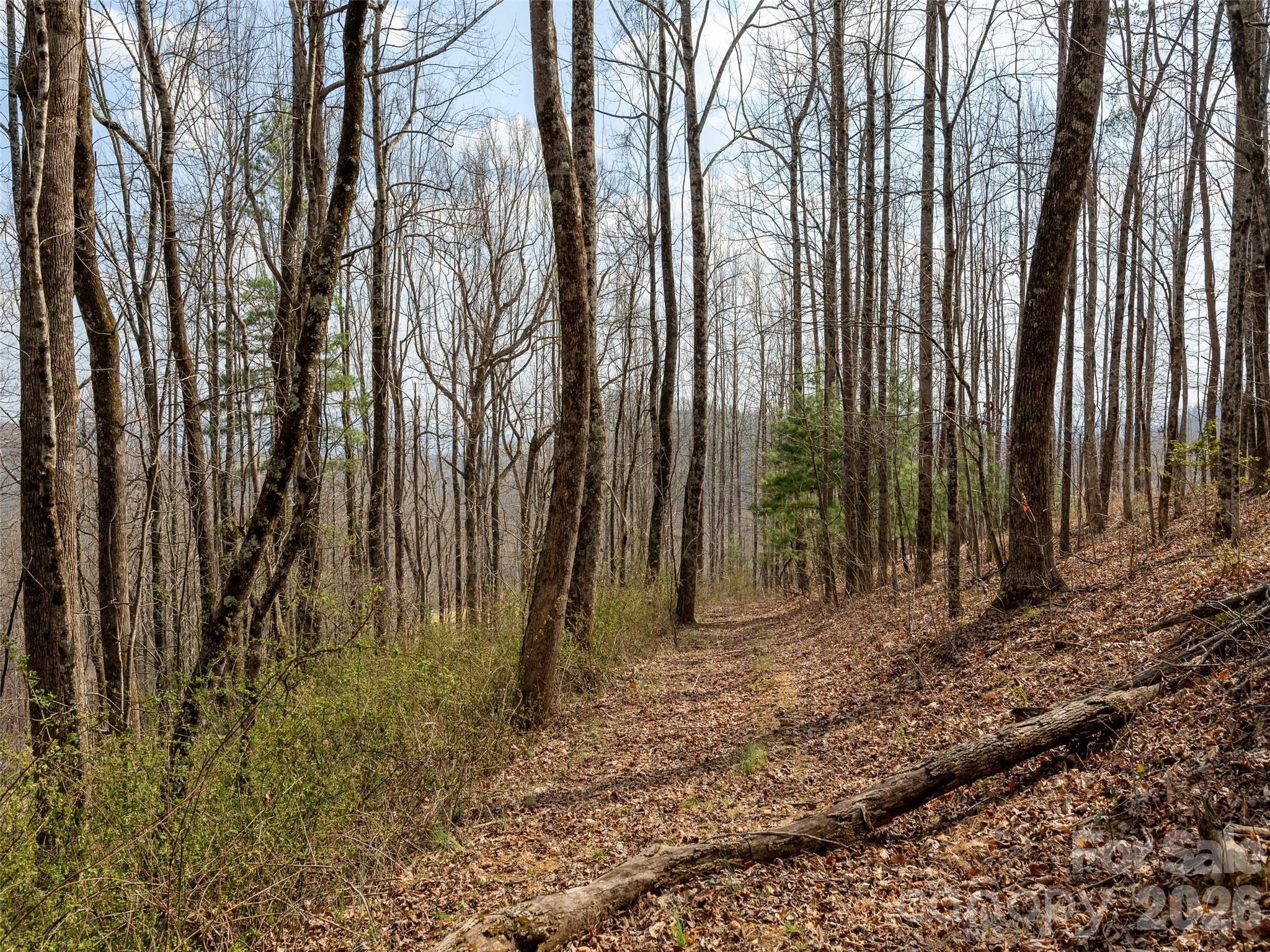 220 Simply Grateful Drive Hendersonville NC 28792
