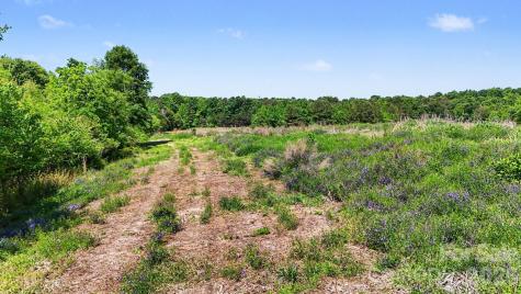 1832 Tysinger Road Denton NC 27239