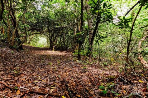 210 Wildberry Court Sapphire NC 28774