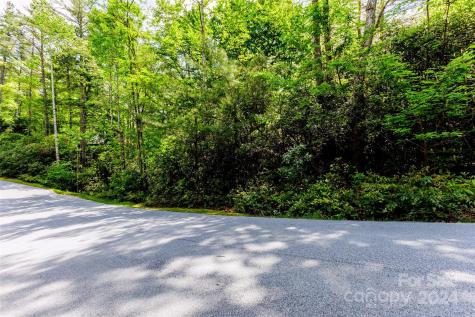 210 Wildberry Court Sapphire NC 28774