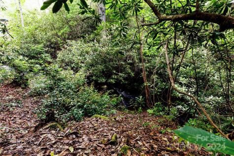 210 Wildberry Court Sapphire NC 28774