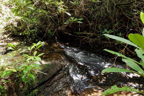 210 Wildberry Court Sapphire NC 28774