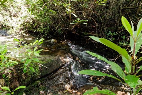 210 Wildberry Court Sapphire NC 28774