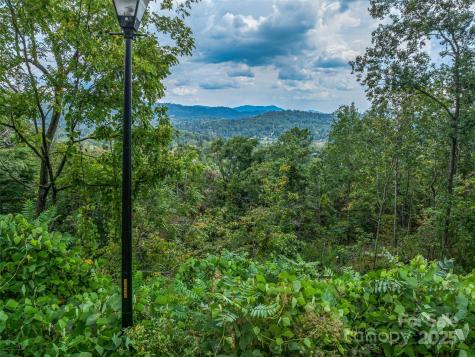 147 Senator Reynolds Road Asheville NC 28804