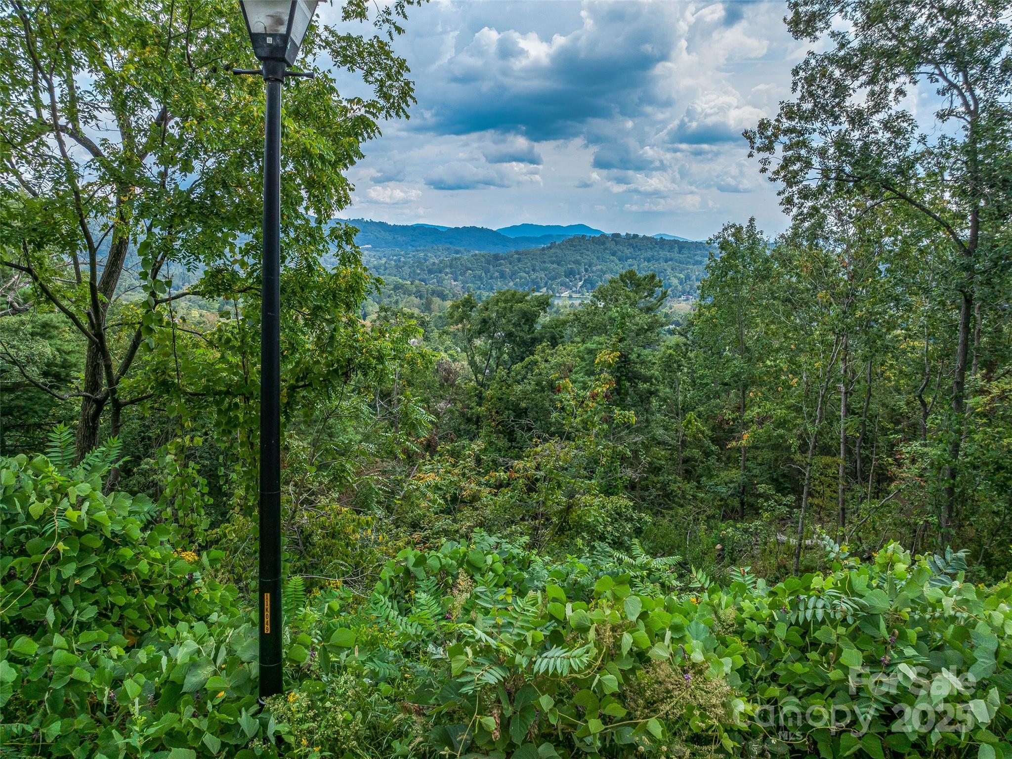 147 Senator Reynolds Road Asheville NC 28804
