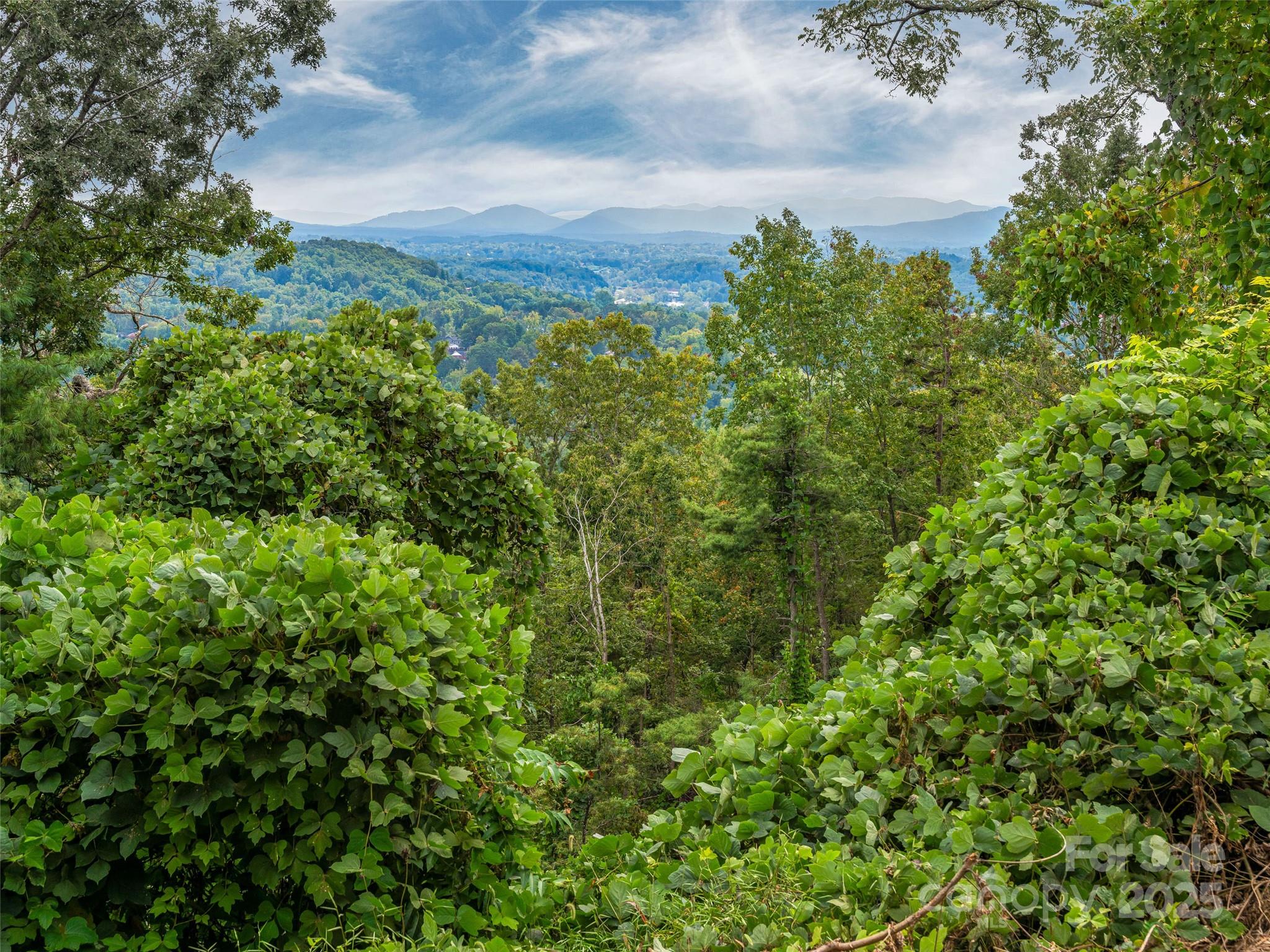 147 Senator Reynolds Road Asheville NC 28804