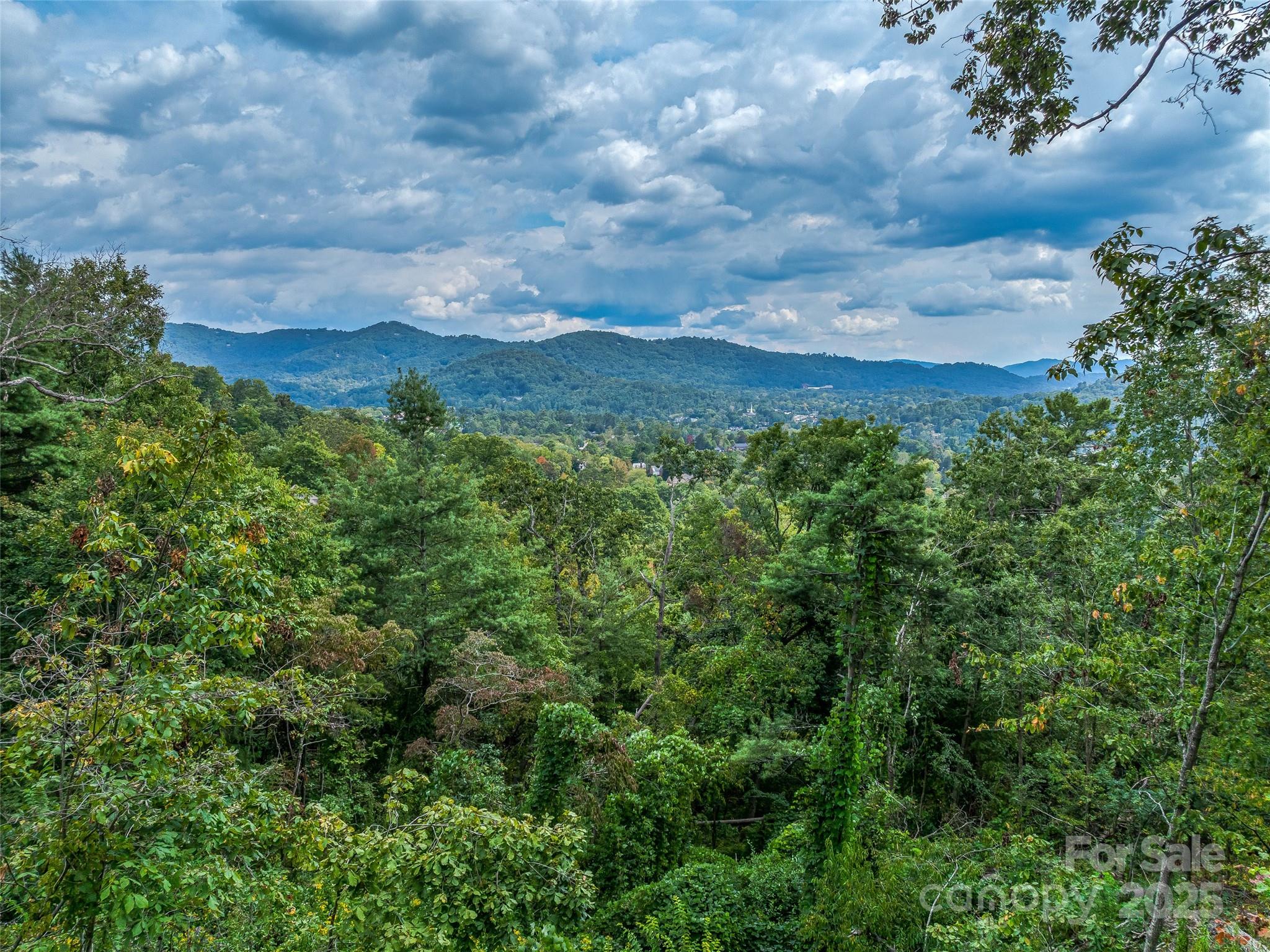 147 Senator Reynolds Road Asheville NC 28804