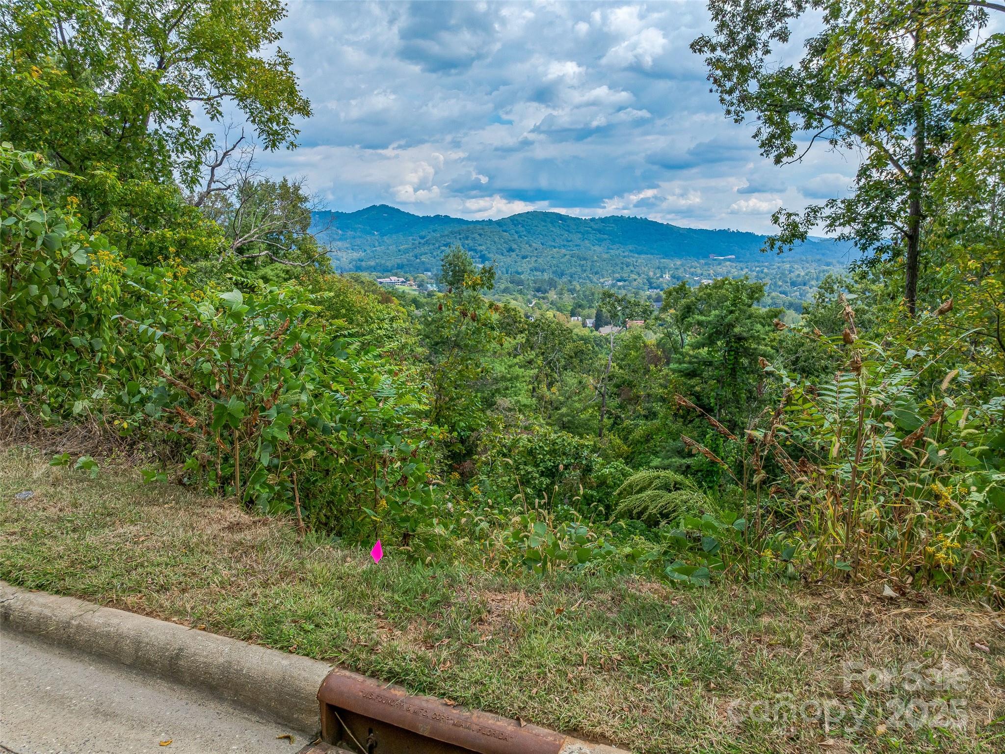 147 Senator Reynolds Road Asheville NC 28804