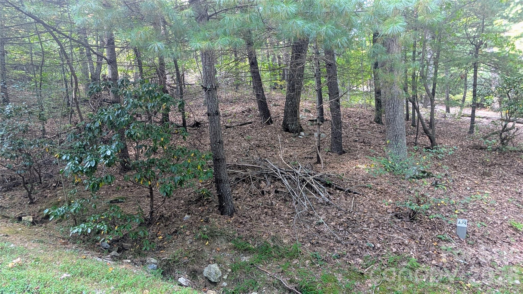 101 Scenic Drive Flat Rock NC 28731