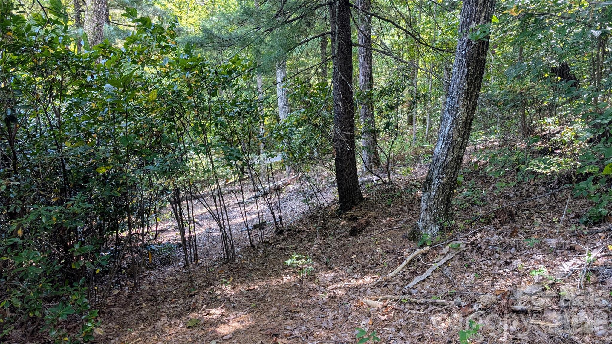101 Scenic Drive Flat Rock NC 28731
