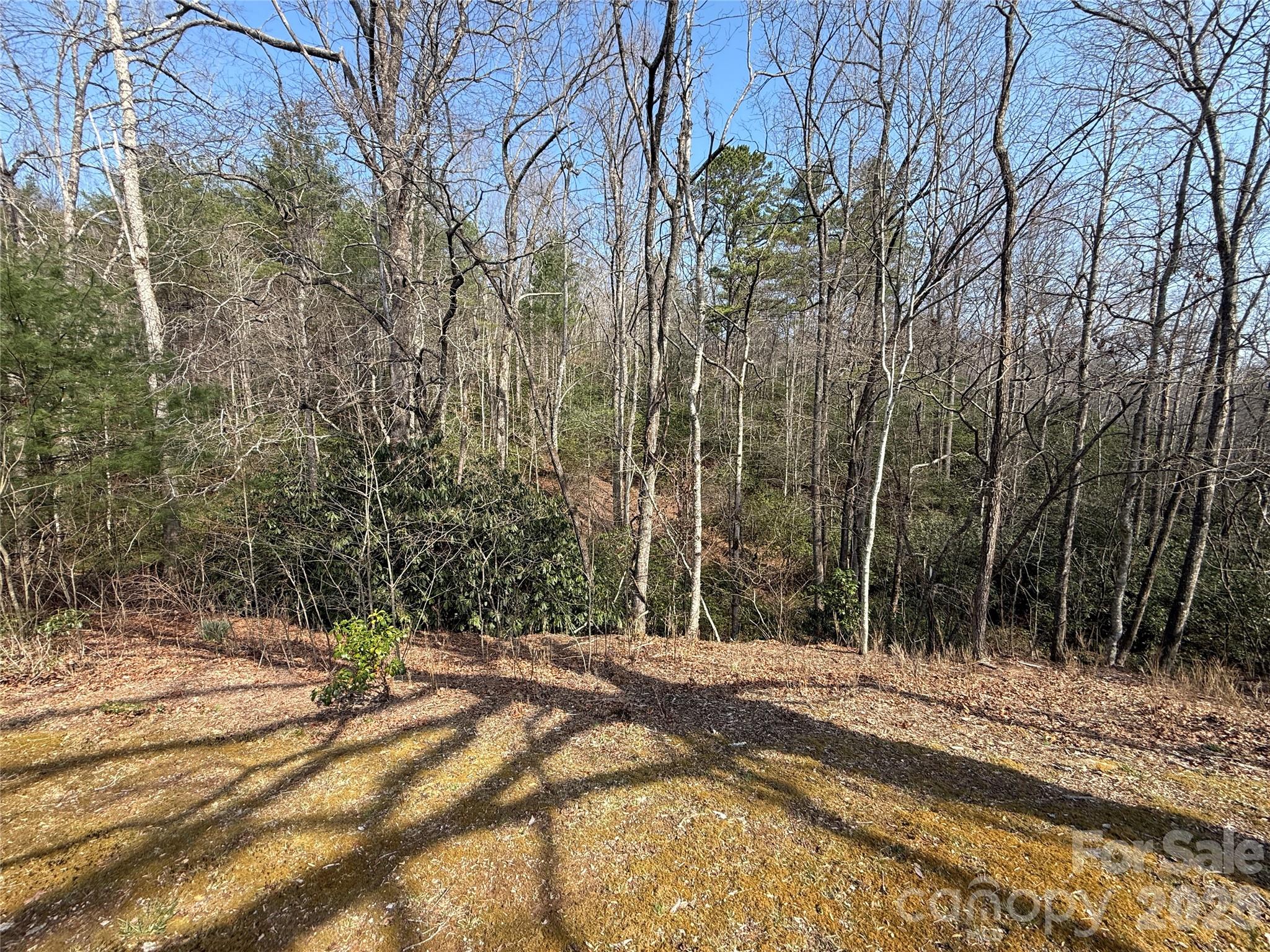 128 Morgan Mountain Road Rosman NC 28772