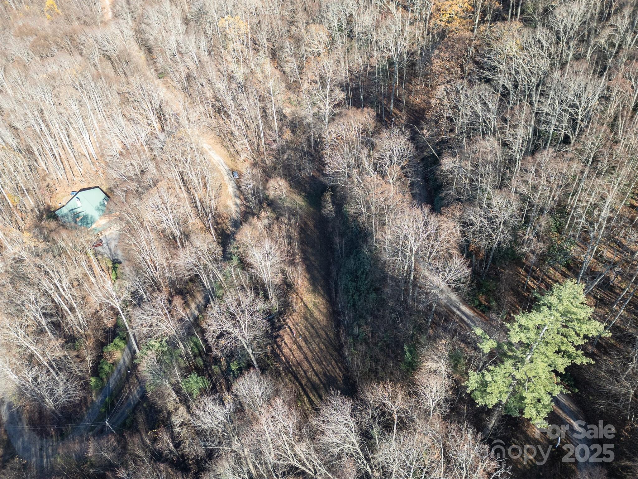 0000 Hyacinth Drive Clyde NC 28721