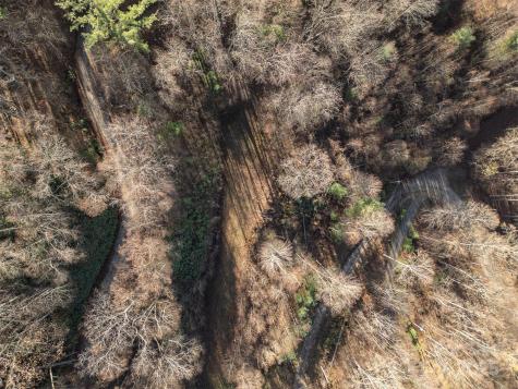 0000 Hyacinth Drive Clyde NC 28721